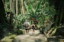 Half Day Ubud Waterfall Tour