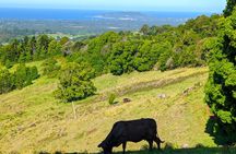 Byron Bay and Bangalow from Gold Coast