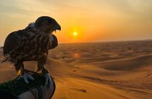 Private Desert Safari with ATV Quad Bike