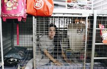 Dark Side of Hong Kong - Kowloon Caged Homes Walking Tour