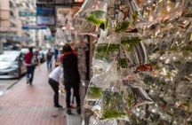 Dark Side of Hong Kong - Kowloon Caged Homes Walking Tour