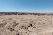 Cruise liner Special: Swakopmund and Namib Desert Highlights