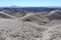 Cruise liner Special: Swakopmund and Namib Desert Treasures