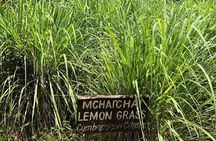 Private Zanzibar Spice Farm Tour