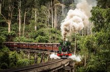 Puffing Billy Steam Train & Cherry Picking Tour from Melbourne