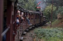 Puffing Billy Steam Train & Cherry Picking Tour from Melbourne