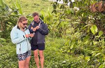 1 day Lake Kivu Adventure, Scenic Hike & Coffee Plantation Tour