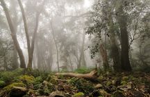 Skeleton Gorge Hike up Table Mountain