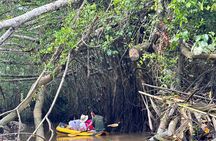 Khao Lak Elephant Sanctuary Visit and Mangrove Kayak Tour