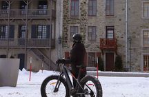 Electric Fatbike Tour in Québec City