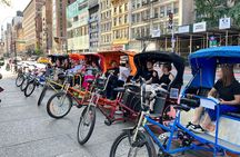 Central Park privet pedicab delux tour -1 hour 
