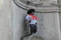 2 Hours Walking Tour in Brussel