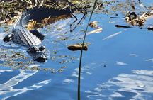 CENTRAL FLORIDA’S BEST PRICED eco-friendly airboat rides