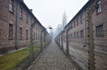 Private tour from Prague to Terezin, Konigstein and Dresden