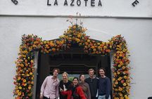 Guided Tour of Coffee Plantation