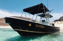 Balandra Private Boat Tour