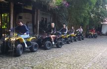 Guided Tour of Coffee Plantation