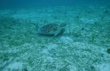 Full Day Charter from Fajardo to Culebra