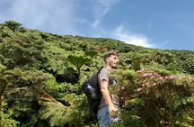 Ometepe trekking - Volcano Concepcion By Happy Tours