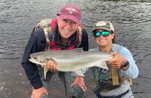 River Fishing and Bear Watching