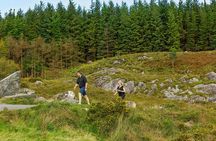  Ring of Kerry & Skellig Ring: Private Luxury Tour from Killarney