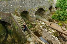  Ring of Kerry & Skellig Ring: Private Luxury Tour from Killarney