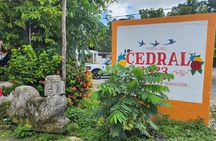 Jade Cavern ATV Tour in Cozumel with Beach Break with transfer