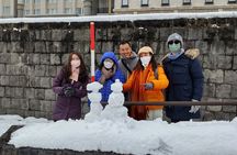 Otaru & Yoichi Tour with Licensed Guide & Vehicle from Sapporo