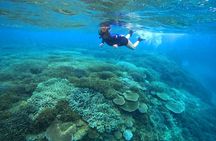 Okinawa: Kayak & Snorkel, Private Tour in Yanbaru