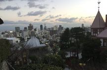 Half-Day Private Guided Tour to Kobe City