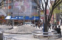 Half-Day Private Guided Tour to Kobe City