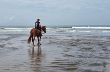 1 hour Bali Horse Riding saba beach