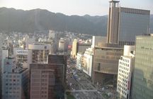 Half-Day Private Guided Tour to Kobe City