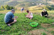 2-Days Sapa Tour with Fansipan Cable Car Trekking Three Village