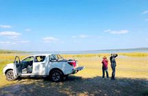 Private Maputo National Park Safari Day Tour with Pickup