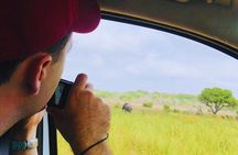 Private Maputo National Park Safari Day Tour with Pickup