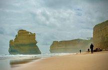 Private Premium Great Ocean Road with Lunch & Wildlife spotting