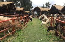 2 Days Sacred Valley and Machu Picchu Experience