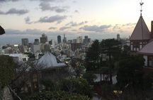 Private Full-Day Guided Tour of Himeji and Kobe