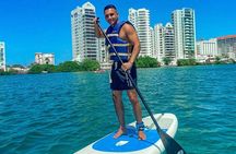 Paddleboard Adventure: Explore Marine Life in Condado Lagoon