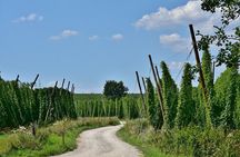 Hallertau experience with hop harvest, lunch and hop museum