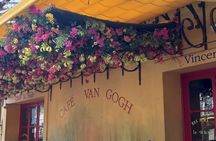 In the footsteps of Van Gogh in Provence from Avignon