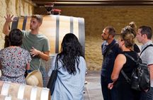 Afternoon Wine Tour to Chateauneuf du Pape from Avignon