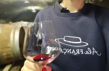 Luberon and Chateauneuf du Pape Wine Tour 