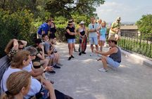 Avignon, St Rémy, Les Baux de Provence & Pont du Gard