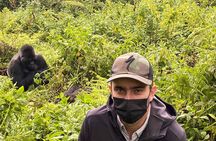 1 Day Gorilla Trekking Safari in Rwanda Volcanoes National Park