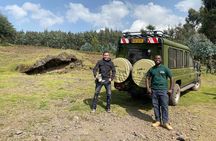 1 Day Gorilla Trekking Safari in Rwanda Volcanoes National Park