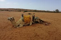 Agadir Desert Tour 4x4 with lunch
