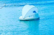 Beach and Ocean float rental