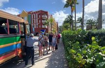 Shared Curacao East Side Tour and Liquor Tasting 